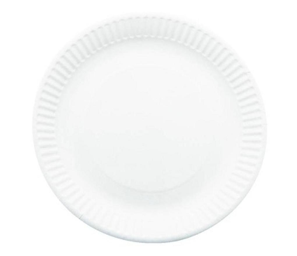 Kartonnen borden 23 cm diameter pak/100 - Per pak