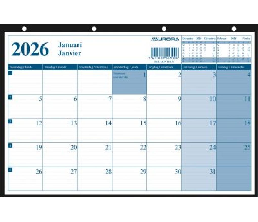 Maandplanner ringmapplanner 290 x 210 mm 2T 1M/1P - Per stuk