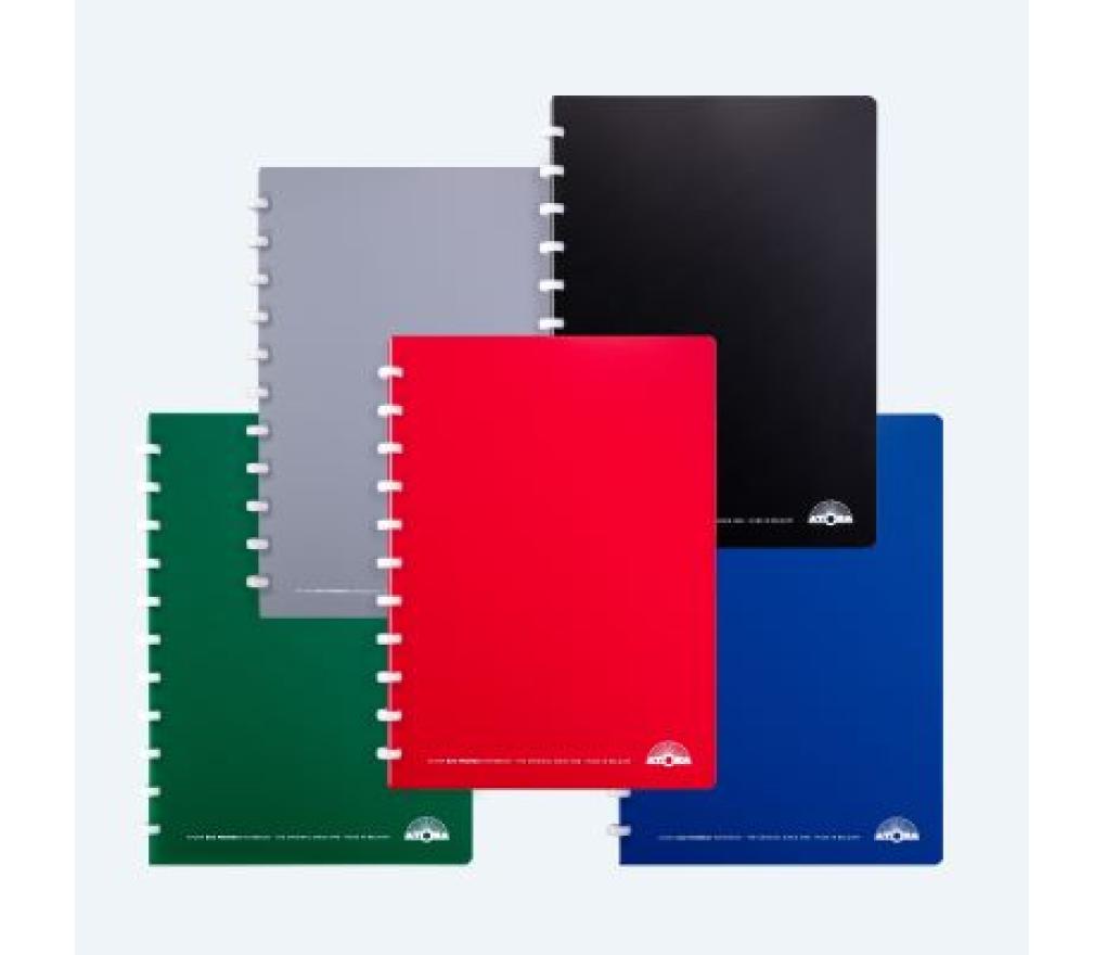 Atomaschrift PP Eco A4 210 x 297 72 blad assorti gelijnd - Per stuk
