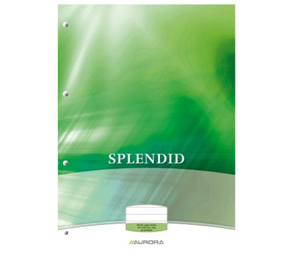 Cursusblok A4 210 x 297 mm 70 g 100 blad 4 perforaties gelijnd met kantlijn - Per stuk