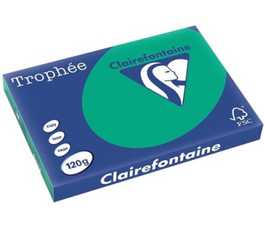 Kopieerpapier A3 120 g CLF Trophée intens 1384 dennengroen riem/250 - riem