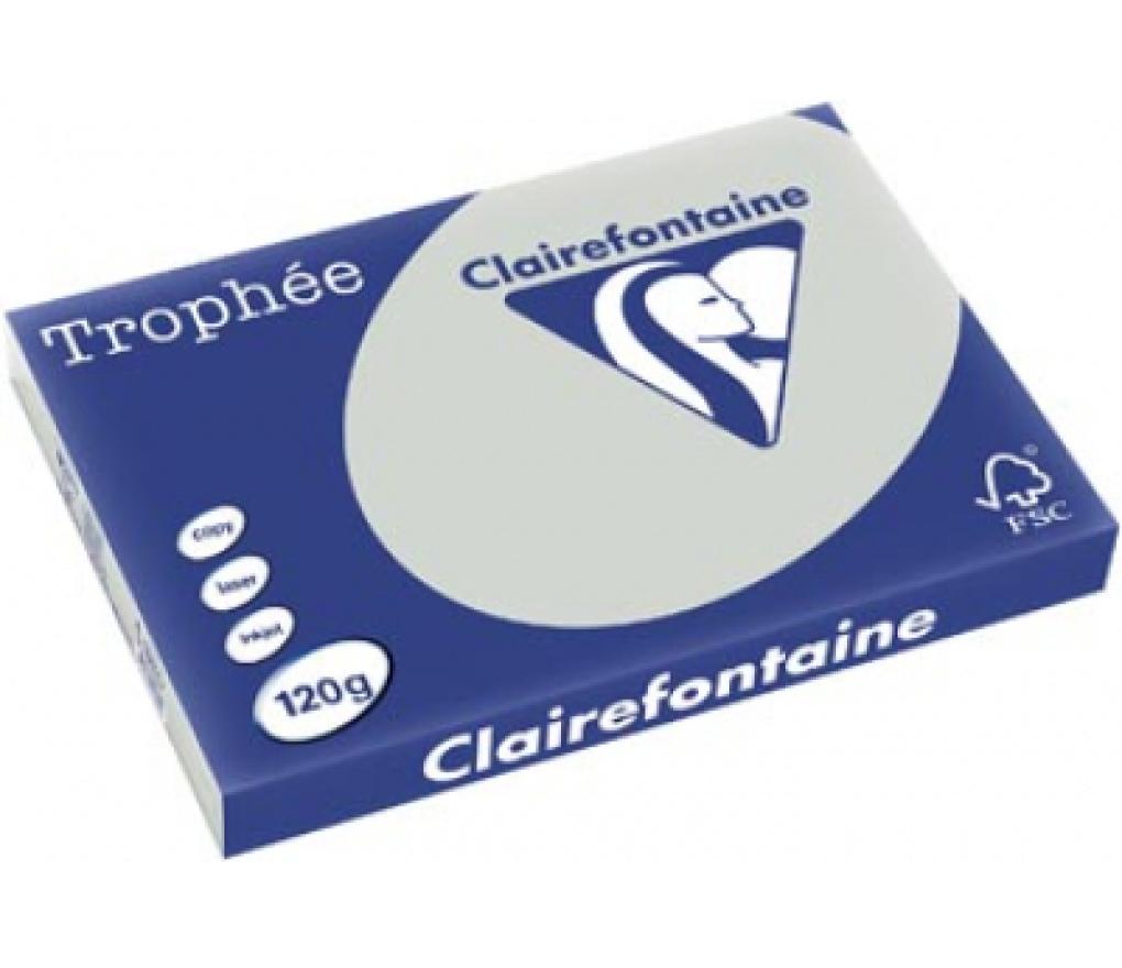 Kopieerpapier A3 120 g CLF Trophée pastel 1274 lichtgrijs riem/250 - riem