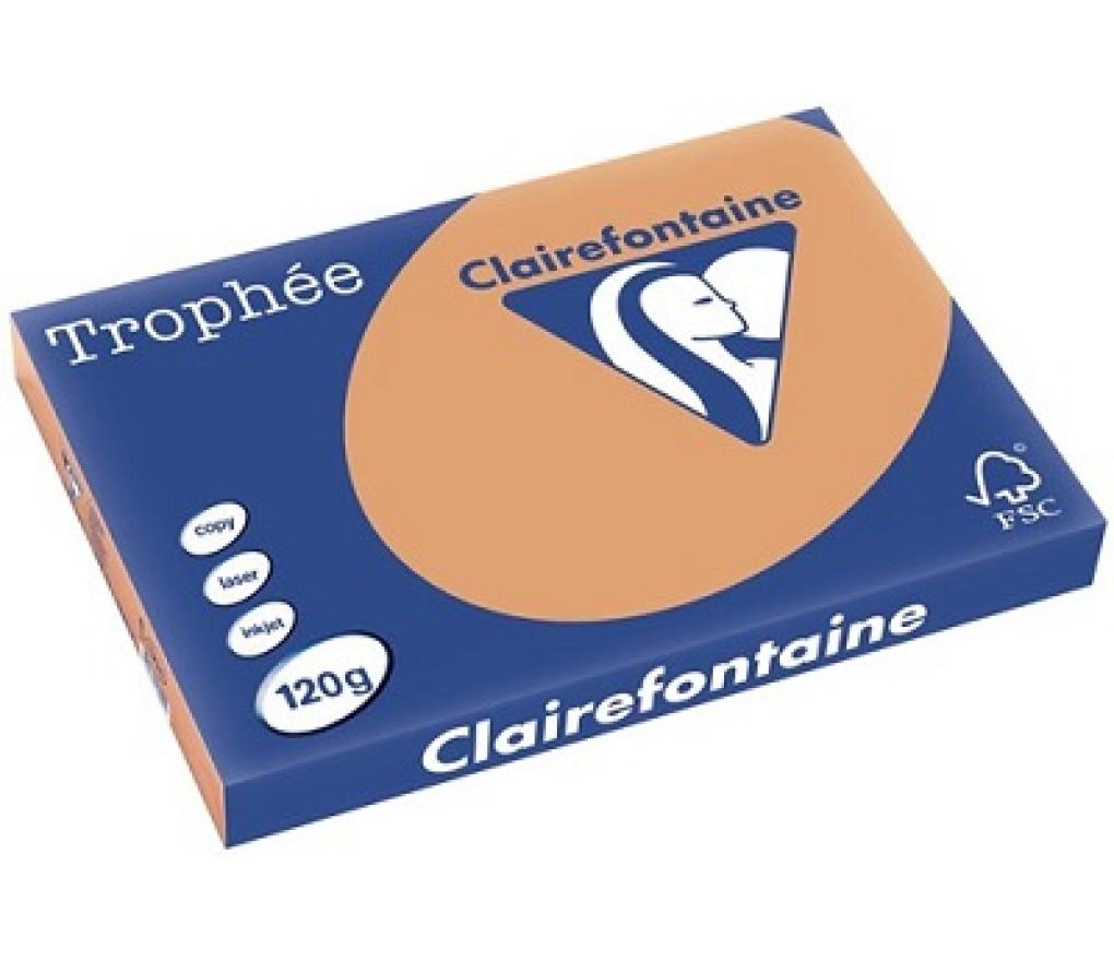 Kopieerpapier A3 120 g CLF Trophée pastel 1304 mokkabruin riem/250 - riem