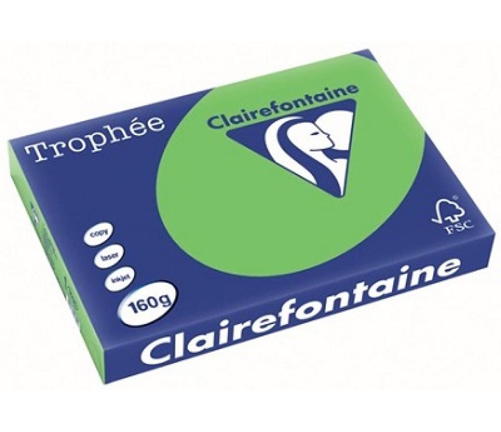 Kopieerpapier A3 160 g CLF Trophée intens 1035 grasgroen riem/250 - riem