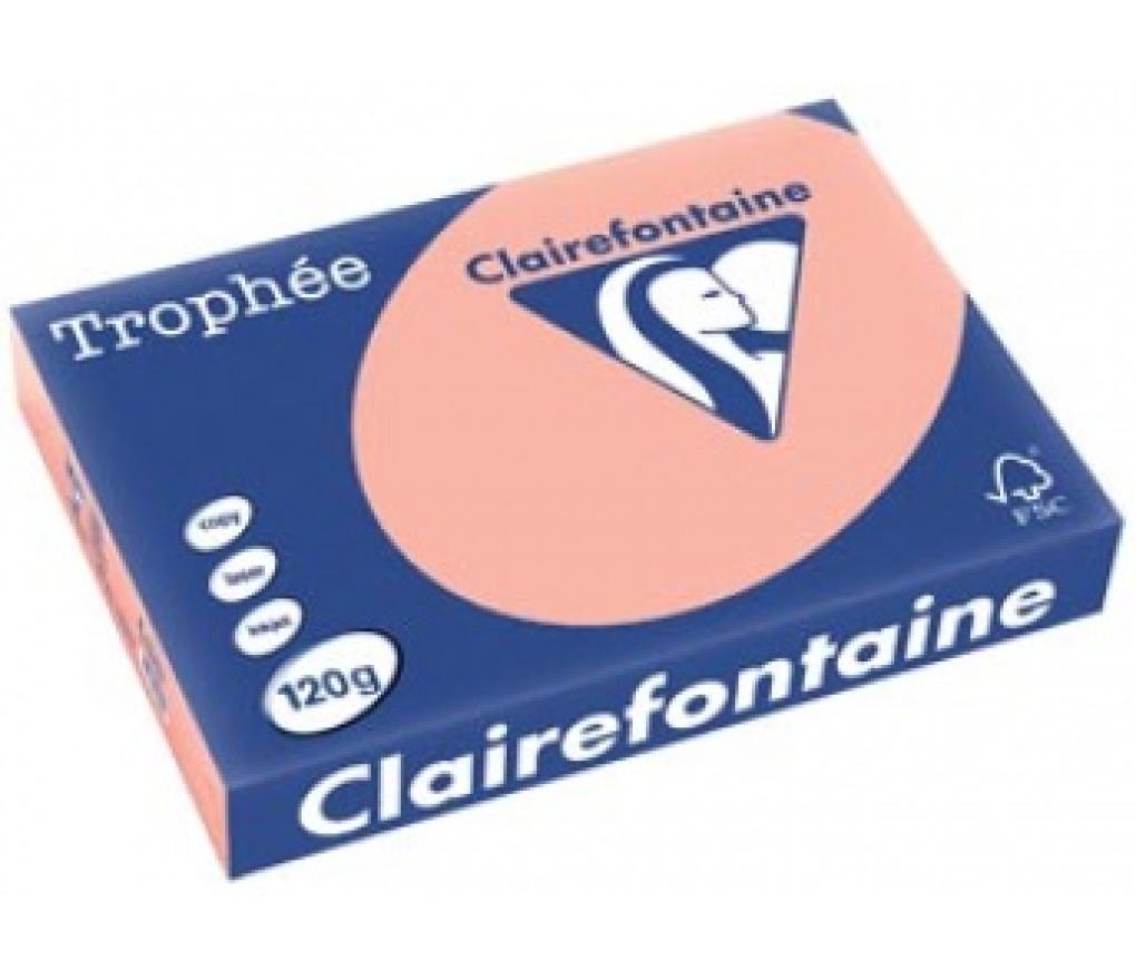 Kopieerpapier A4 120 g CLF Trophée pastel 1243 perzik riem/250 - riem