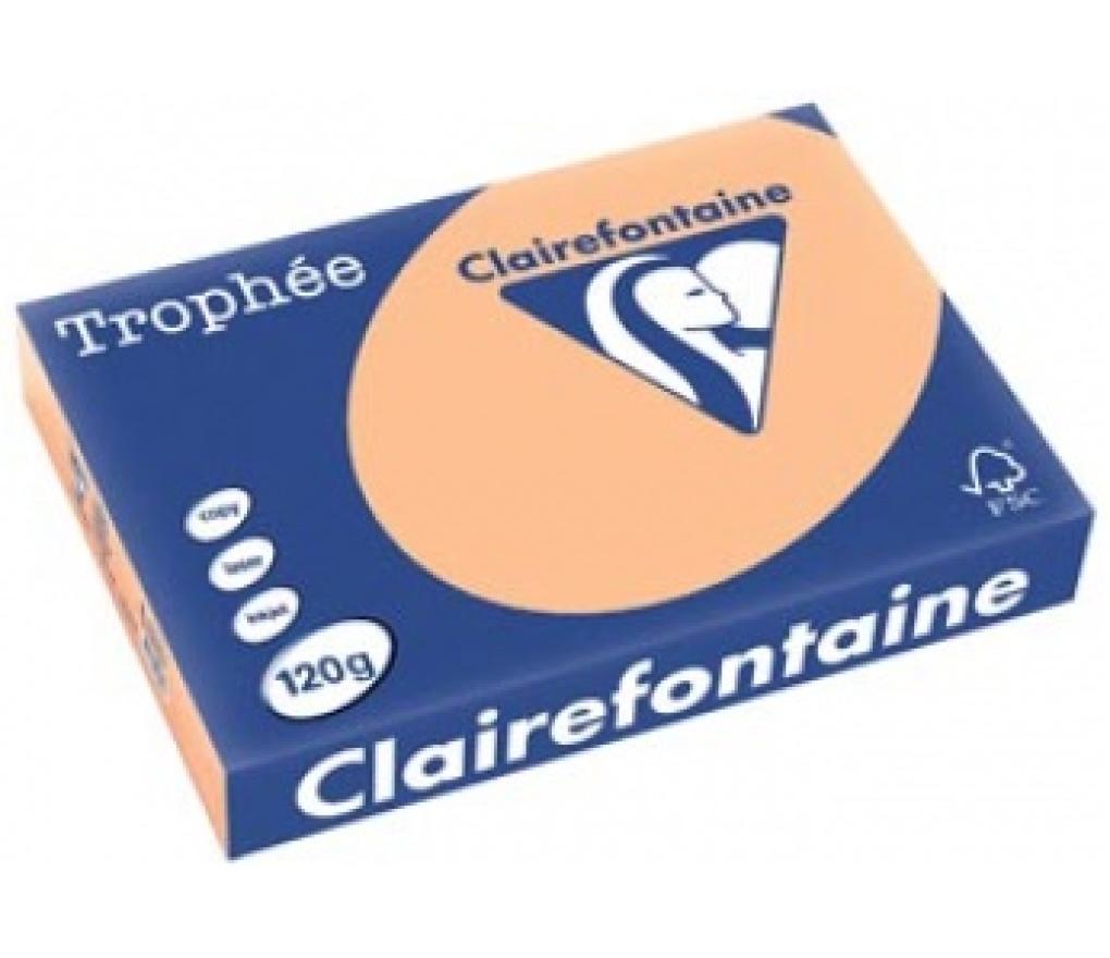 Kopieerpapier A4 120 g CLF Trophée pastel 1275 abrikoos riem/250 - riem