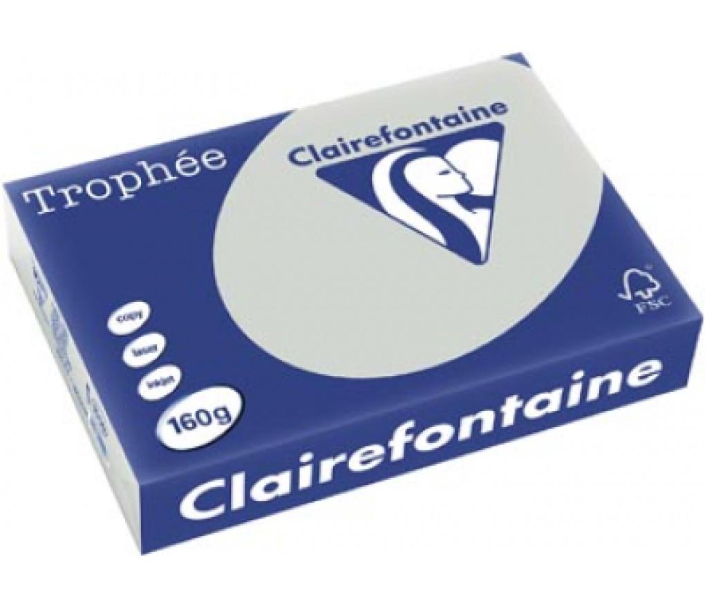 Kopieerpapier A4 160 g CLF Trophée pastel 1009 lichtgrijs riem/250 - riem
