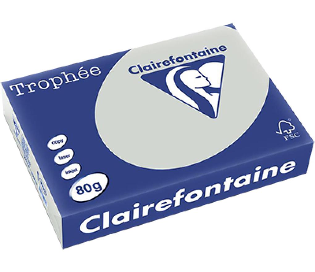 Kopieerpapier A4 80 g CLF Trophée pastel 1993 lichtgrijs riem/500 - riem