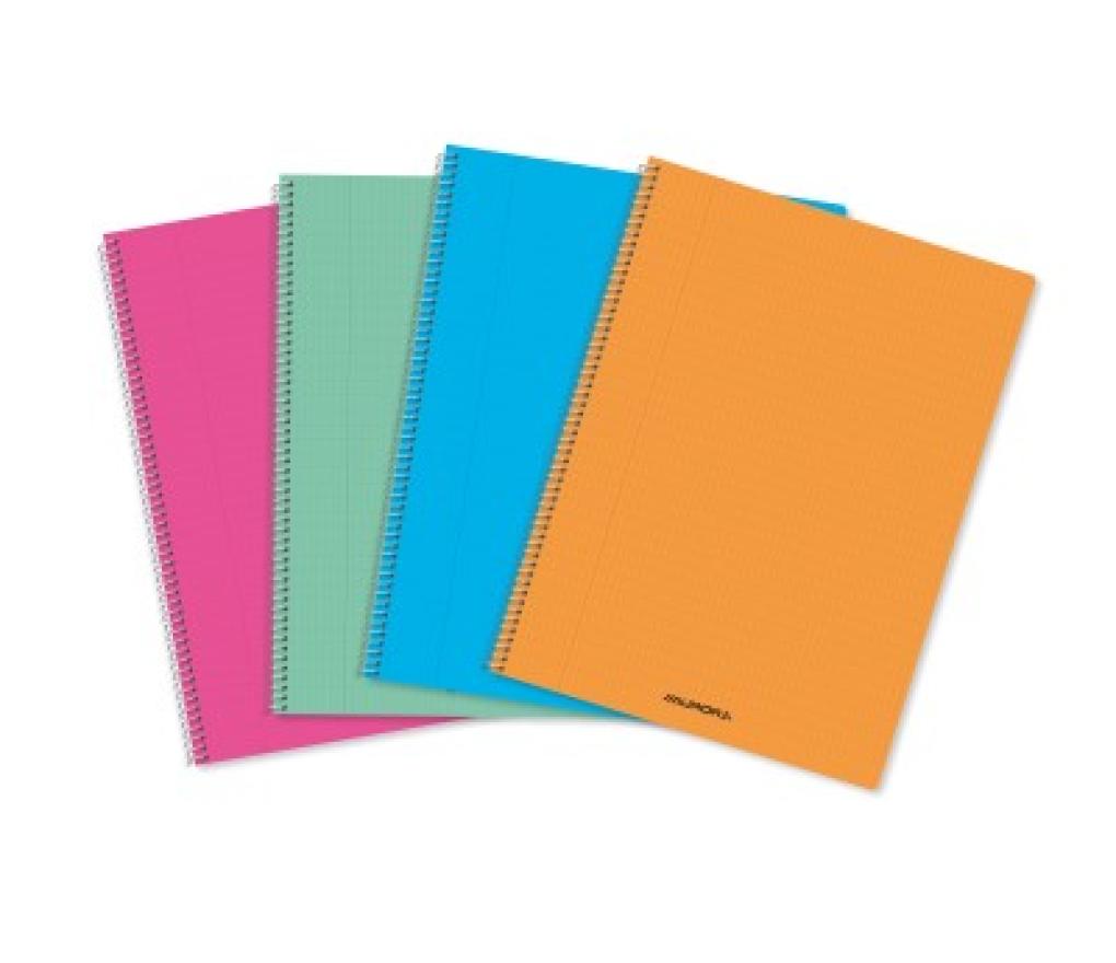 Spiraalschrift 210 x 295 mm 80 g 120 pag Hv plastic kaft geruit 4 x 8 mm assorti - Per stuk