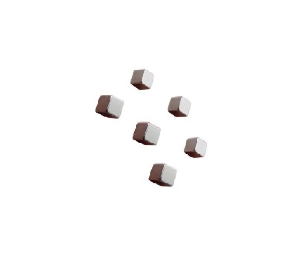 Magneet extra krachtig Naga vierkant zilver set/6 - Per stuk