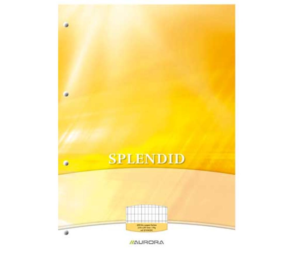 Cursusblok A4 210x297 mm 70 g 100 blad 4 perforaties commercieel geruit 4x8 mm met kantlijn - P/Stuk