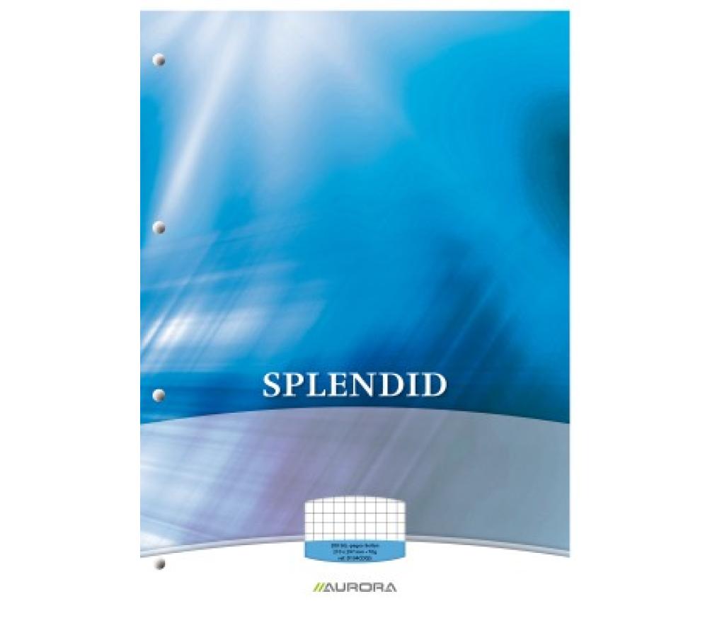 Cursusblok A4 210 x 297 mm 70 g 100 blad 4 perforaties geruit 5 x 5 mm met kantlijn - Per stuk