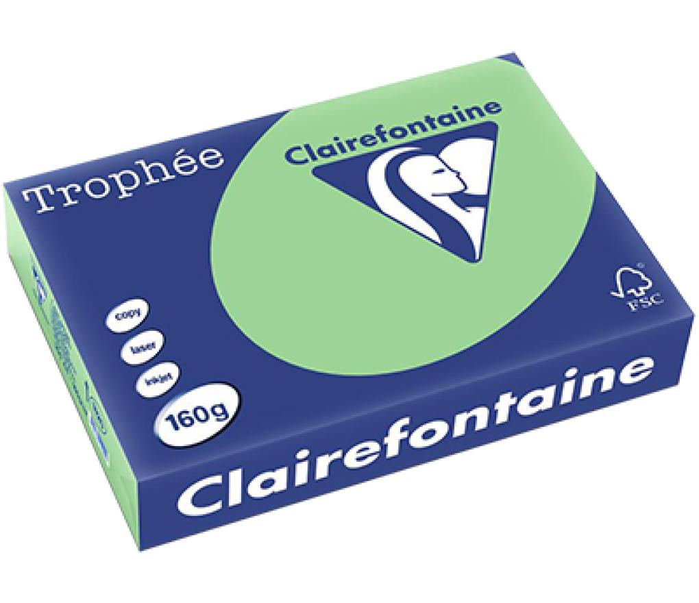 Kopieerpapier A4 160 g CLF Trophée pastel 1120 natuurgroen riem/250 - riem