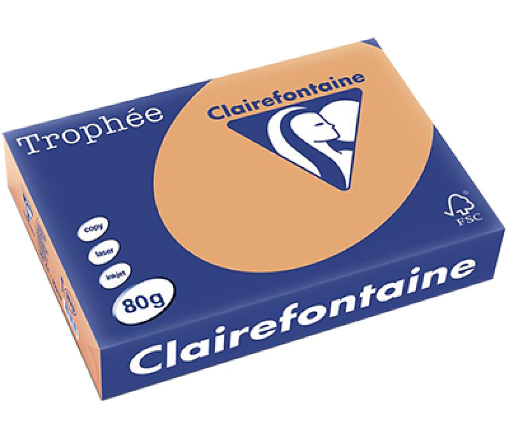 Kopieerpapier A4 80 g CLF Trophée pastel 1879 mokkabruin riem/500 - riem