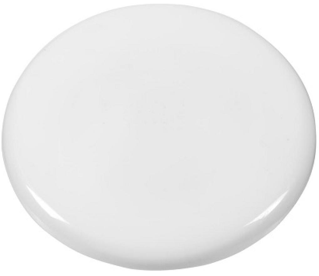 Magneet 40 mm diameter wit doos/10 - Per pak