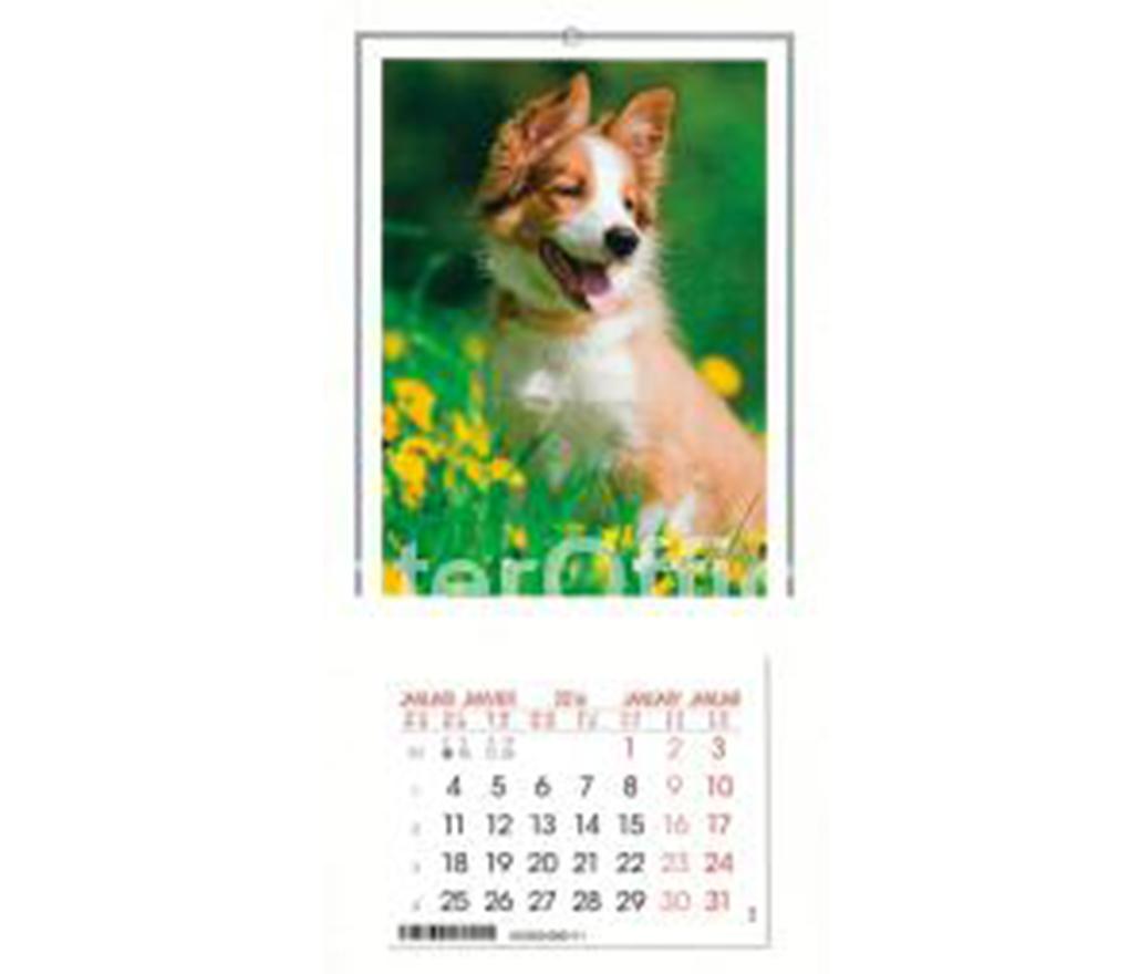 Schild voor muurkalender huisvriend 140 x 320 mm - Per stuk