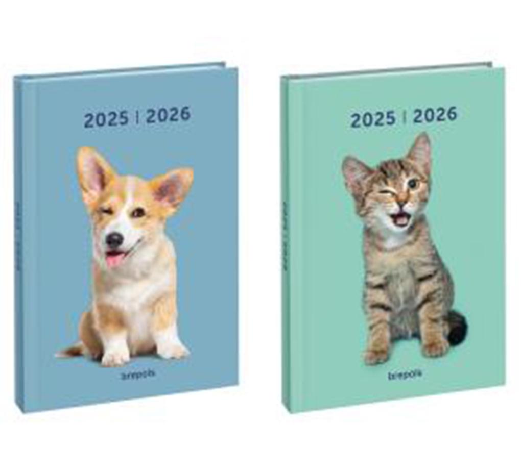 Agenda Back to school Amici 1J/1P - Par pièce