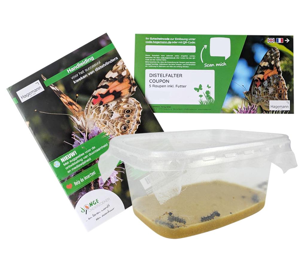 Chenilles de papillons - voucher - kit d'élevage de papillons 1044558 - la pièce