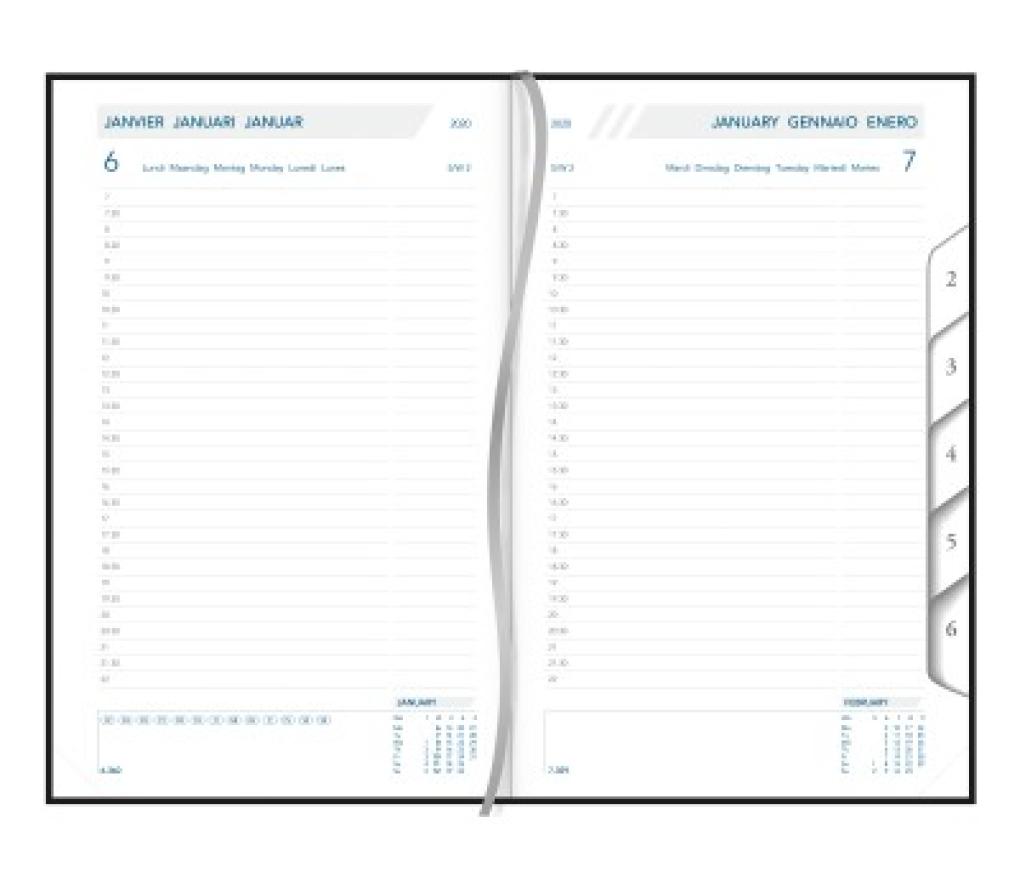 Agenda bureelmodel Daily de luxe 140 x 210 mm 1D/1P balacron maandtabs - Per stuk
