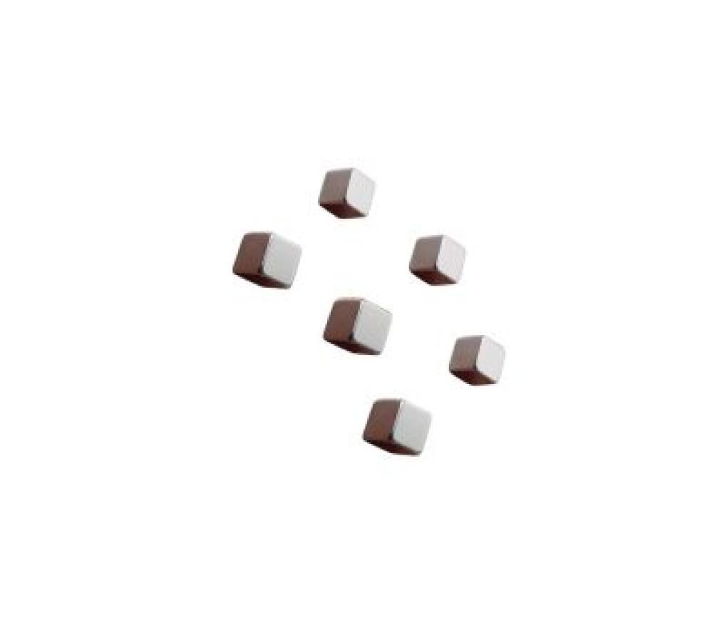 Magneet extra krachtig Naga vierkant zilver set/6 - Per stuk