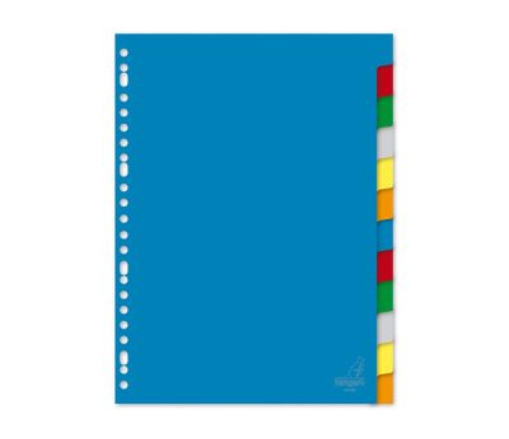 Tabkaart A4 12 posities PP economy - Per stuk